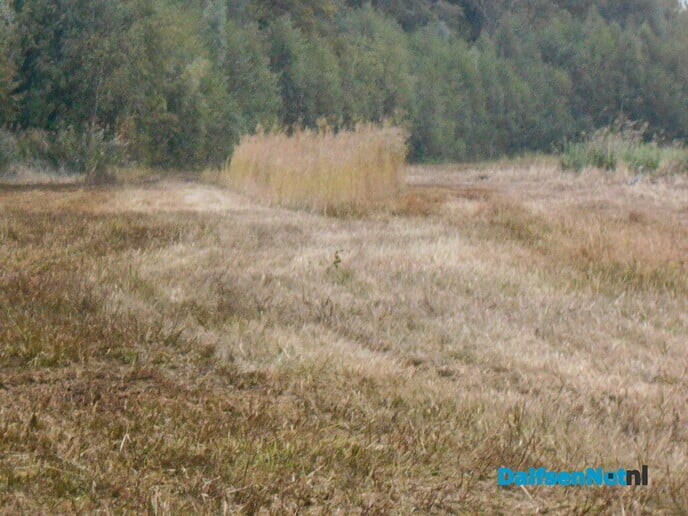Opschonen Marswetering Den Aalshorst