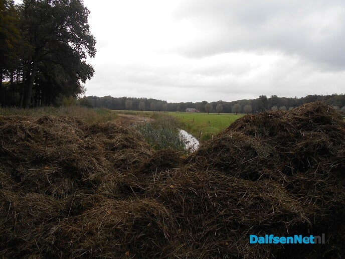 Opschonen Marswetering Den Aalshorst