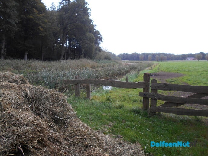 Opschonen Marswetering Den Aalshorst