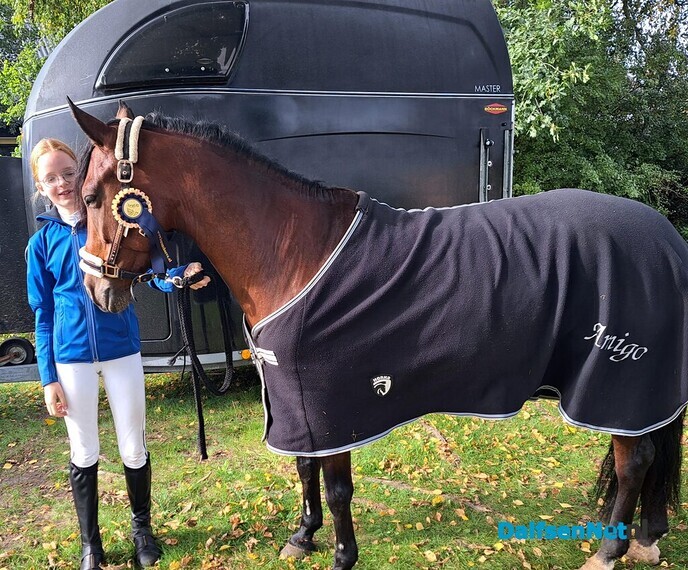 Sportverslag Paardensportvereniging Lemelerveld - Foto: Ingezonden foto