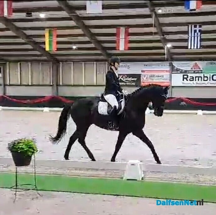 Sportverslag Paardensportvereniging Lemelerveld - Foto: Ingezonden foto