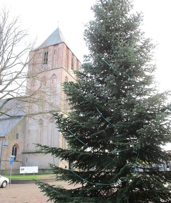 Kerstboom gezocht - Foto: Ingezonden foto