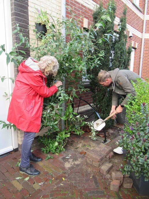Klinkers wippen in het Waterfront - Foto: Ingezonden foto
