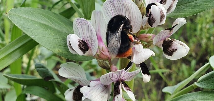 Boeren buren dag in de Marshoek - Foto: Ingezonden foto