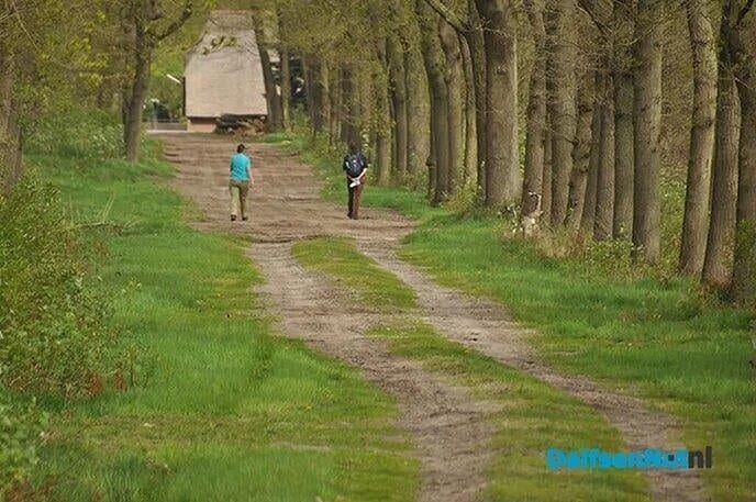 Wandelexcursie in kleurrijk Vilsteren