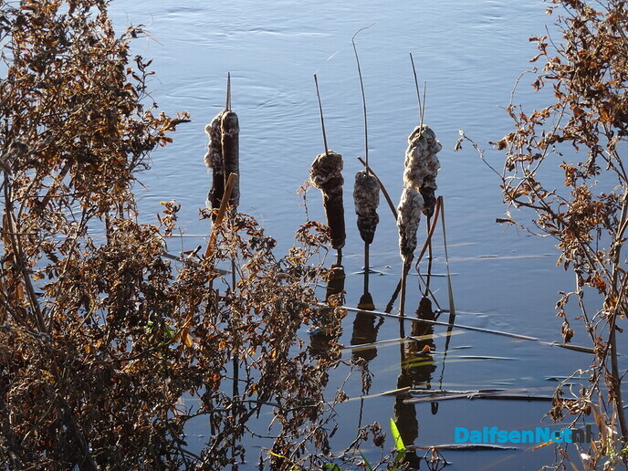 Lekker wandelen - Foto: Ingezonden foto