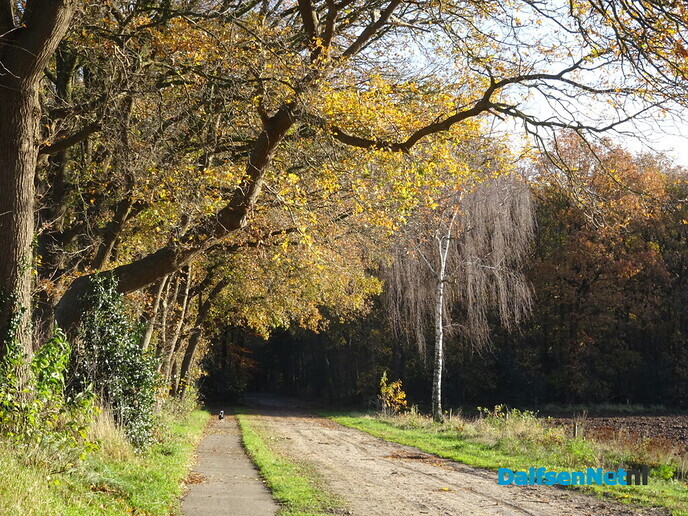 Lekker wandelen - Foto: Ingezonden foto