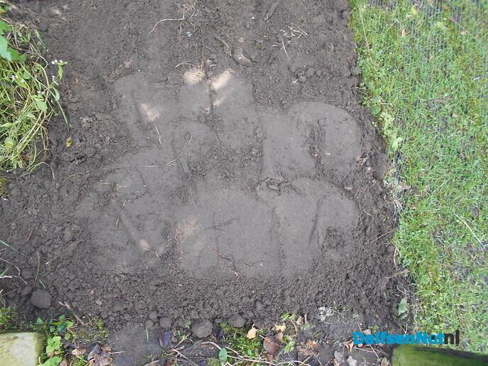 Walnoten plantage?
