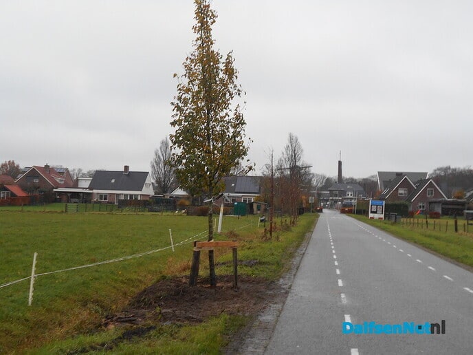 Wandelende bomen hebben nu de voeten in de aarde