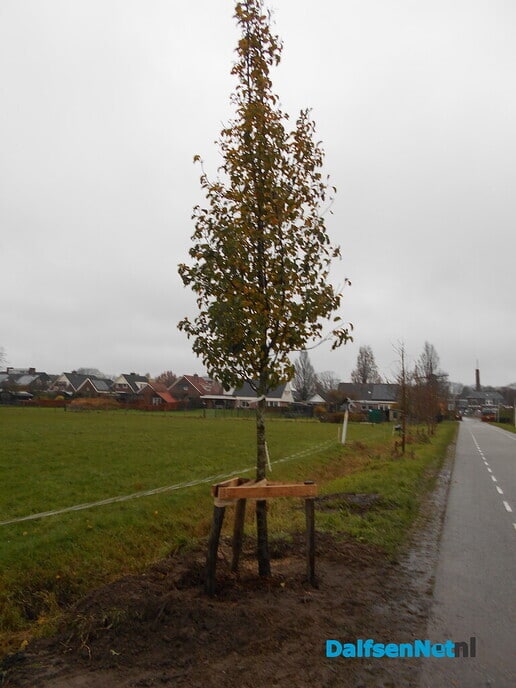 Wandelende bomen hebben nu de voeten in de aarde