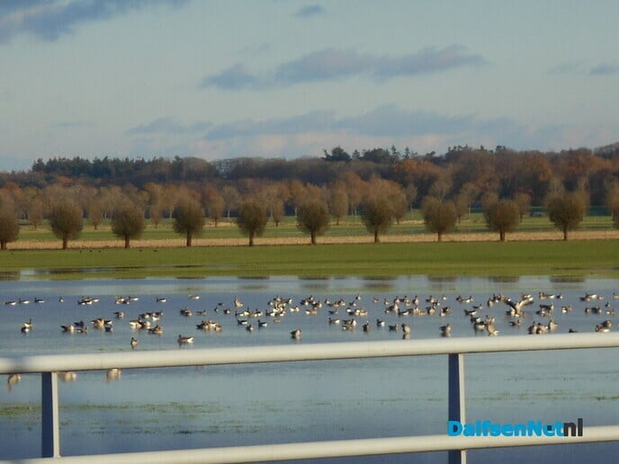 Toen was het plotseling winter