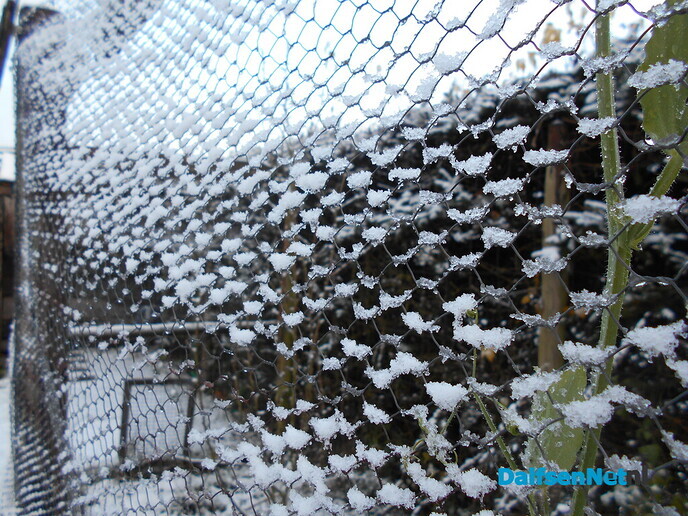 Toen was het plotseling winter