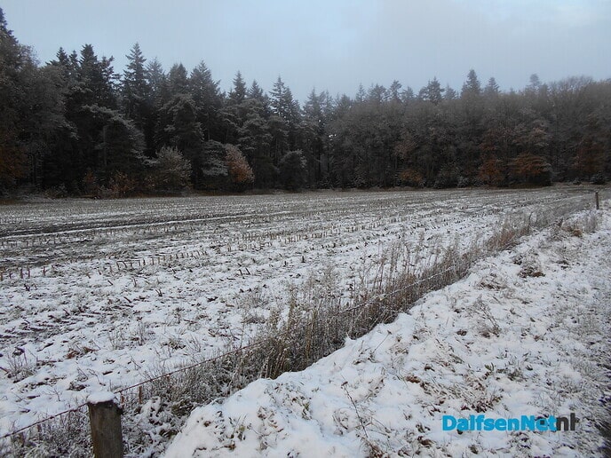 Toen was het plotseling winter