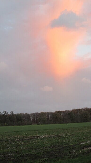 Even droog