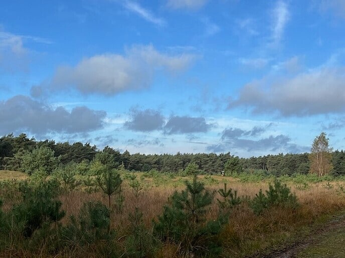 Foto’s gemaakt door Elles in het Sterrebos - Foto: Ingezonden foto