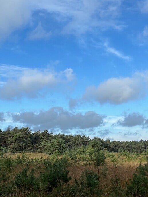 Foto’s gemaakt door Elles in het Sterrebos - Foto: Ingezonden foto