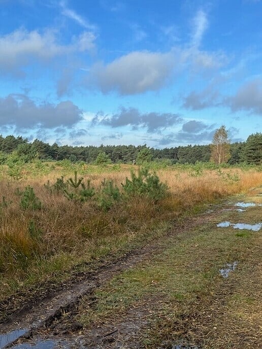 Foto’s gemaakt door Elles in het Sterrebos - Foto: Ingezonden foto