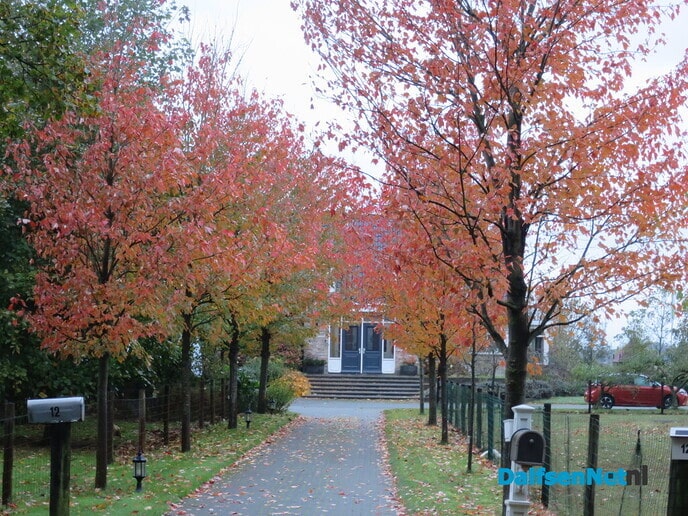 Het was weer een mooie zondagochtendwandeling - Foto: Wim