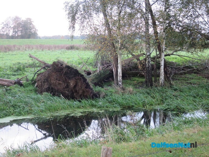 Het was weer een mooie zondagochtendwandeling - Foto: Wim