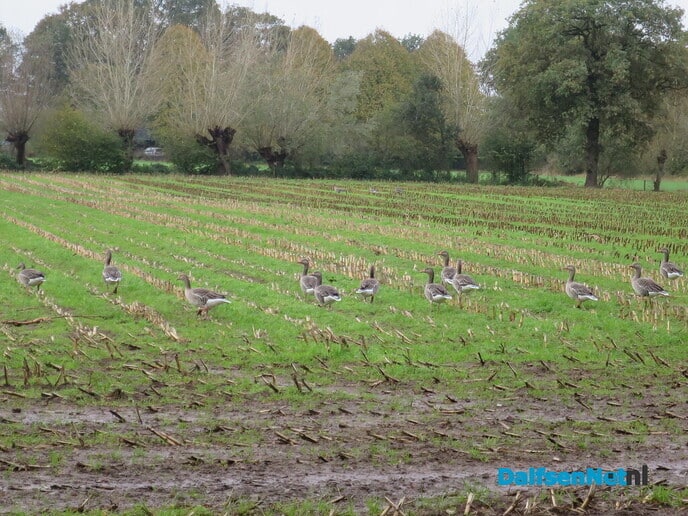 Het was weer een mooie zondagochtendwandeling - Foto: Wim