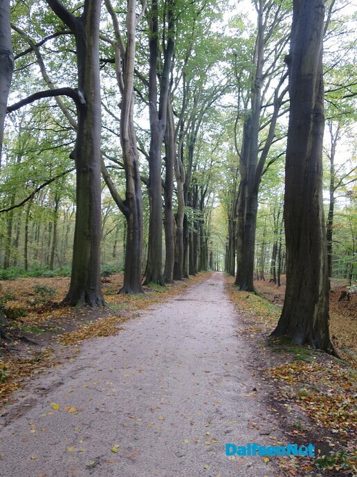 Het was weer een mooie zondagochtendwandeling - Foto: Wim