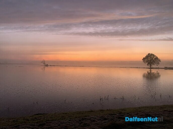 Stokte de prachtigste! - Foto: Ingezonden foto
