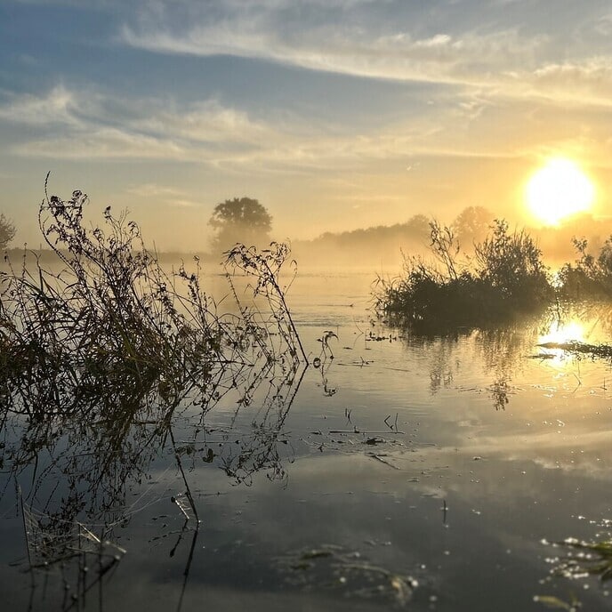 Begroting vastgesteld, waterschapsbelasting 2024 bekend - Foto: Ingezonden foto