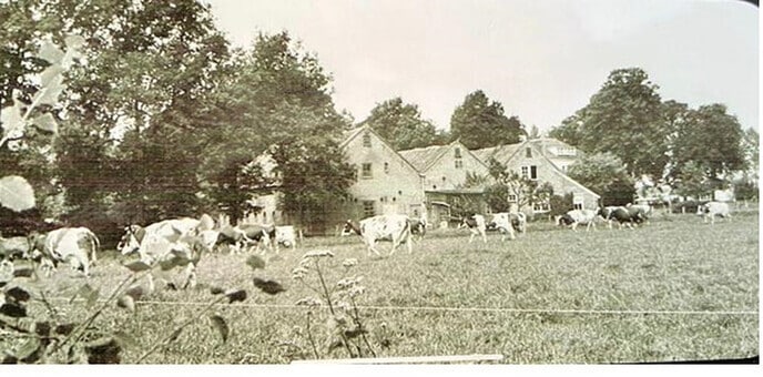 1945: Beschieting boerderij: Nellie dodelijk geraakt - Foto: Ingezonden foto