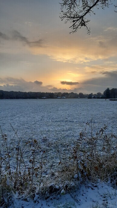 Natuurfoto - Foto: Ingezonden foto
