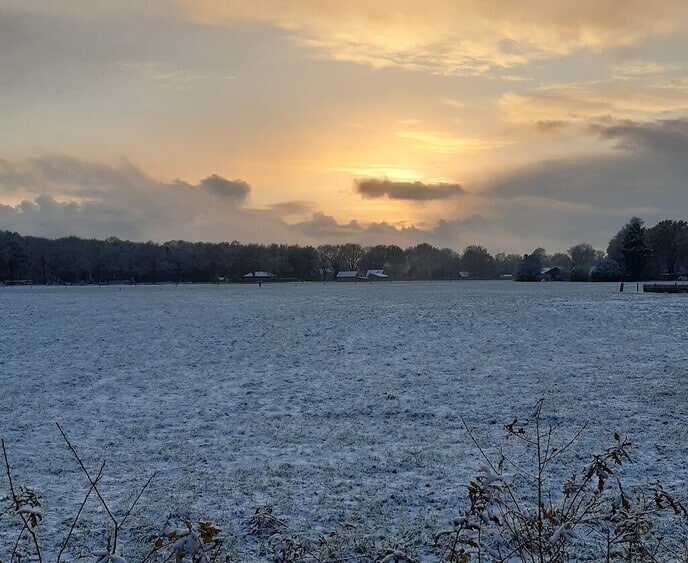 Natuurfoto