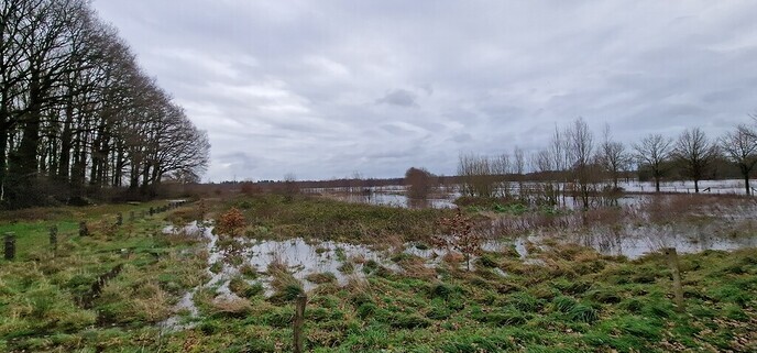 Ingezonden Hoog water foto’s