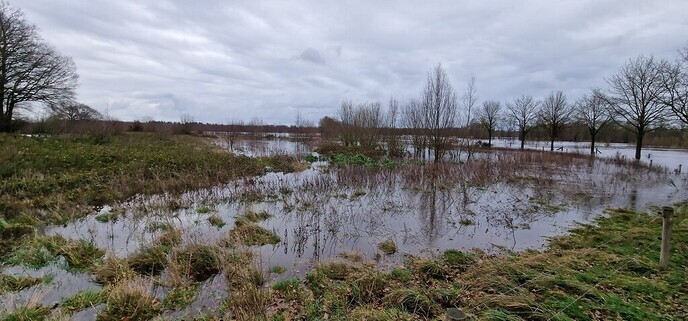 Ingezonden Hoog water foto’s
