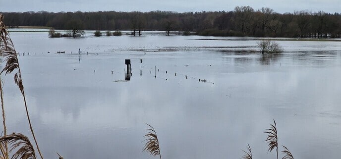 Ingezonden Hoog water foto’s