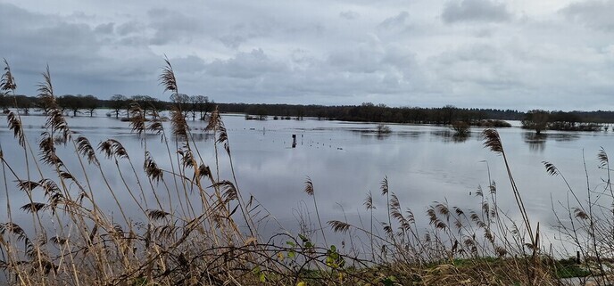Ingezonden Hoog water foto’s