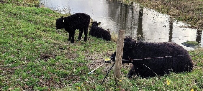 Ga niet zwemmen, recreatief varen of fietsen in het hoogwater - Foto: Ingezonden foto