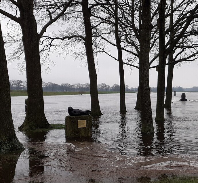 Weer veel hoogwaterfoto’s - Foto: Ingezonden foto