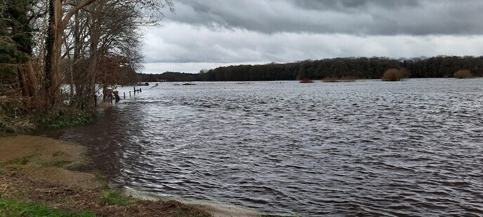 Ingezonden Hoog water foto’s