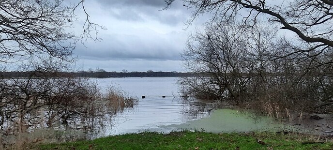 Ingezonden Hoog water foto’s