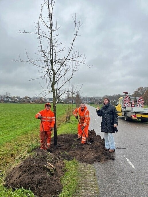 Wandelende bomen op een nieuwe plek - Foto: Ingezonden foto
