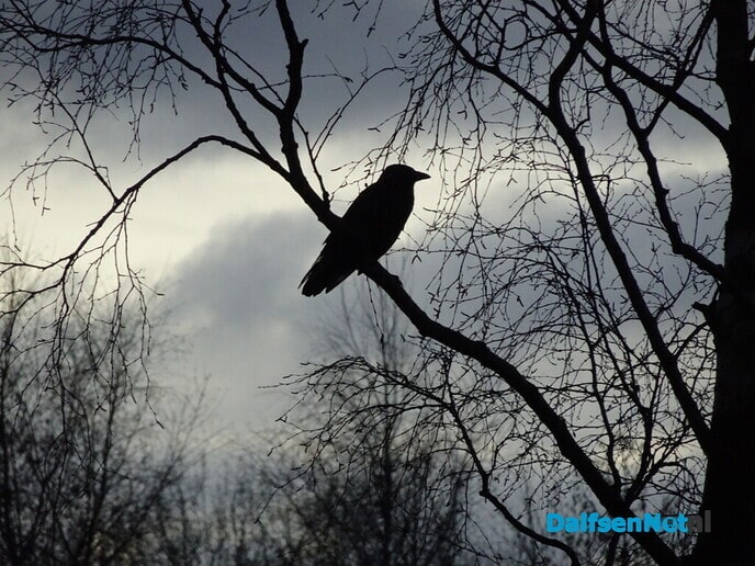 Bellingeweer steeds natter - Foto: Ingezonden foto