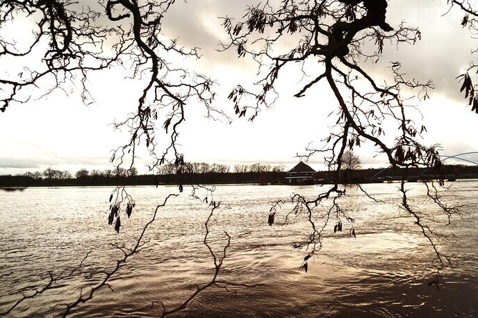 Ingezonden Hoog water foto’s