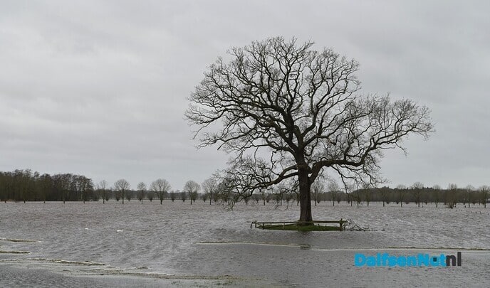 Hoog water op de Vecht, dijkpost 15 paraat in Vilsteren - Foto: Johan Bokma
