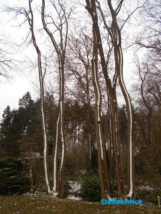 Nog een paar winterplaatjes