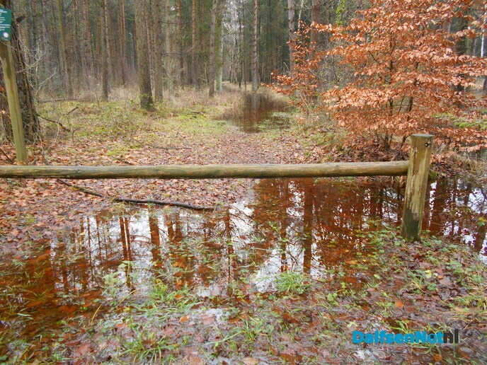 De laarzen aan en wandelen maar