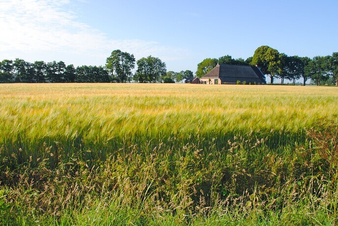 De schoolvakanties in Dalfsen 2024