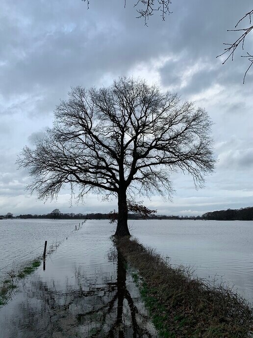 Foto’s hoog water - Foto: Ingezonden foto