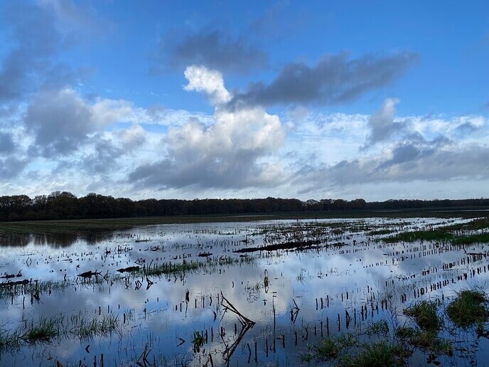 Westenwind en neerslag zetten kerstpiek op waterstanden - Foto: Ingezonden foto