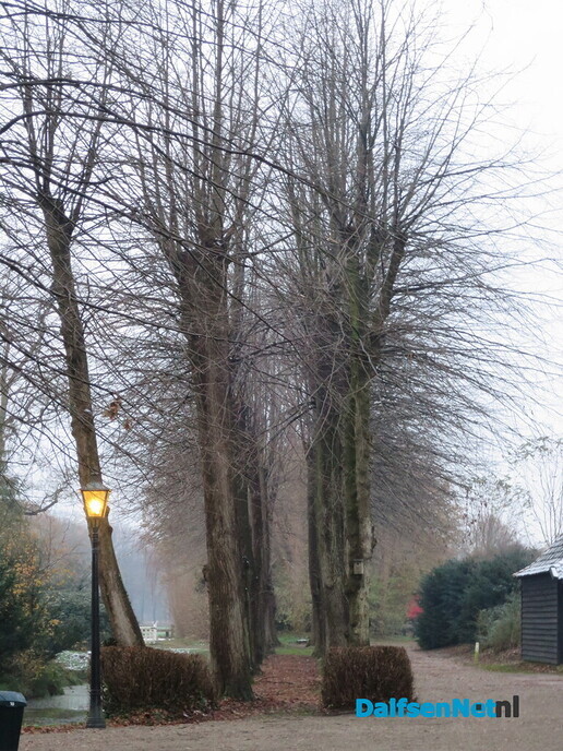 Weer mooi vroeg wandelweer - Foto: Wim