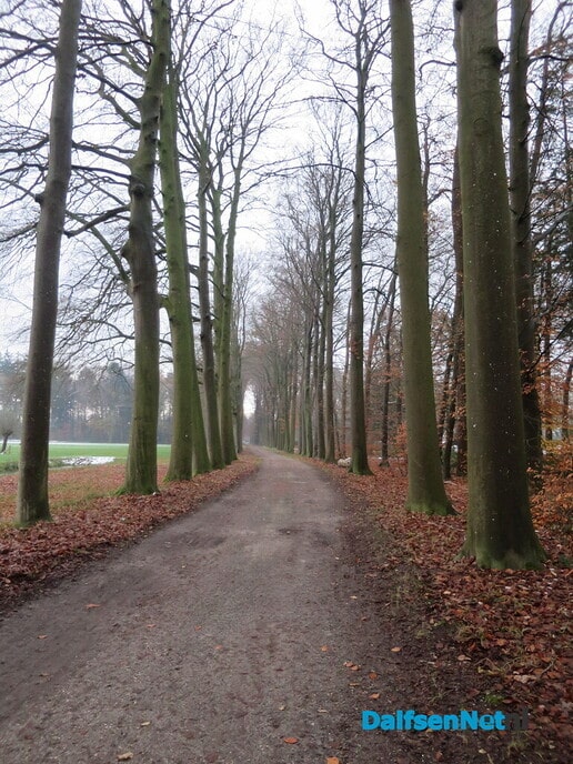 Weer mooi vroeg wandelweer - Foto: Wim