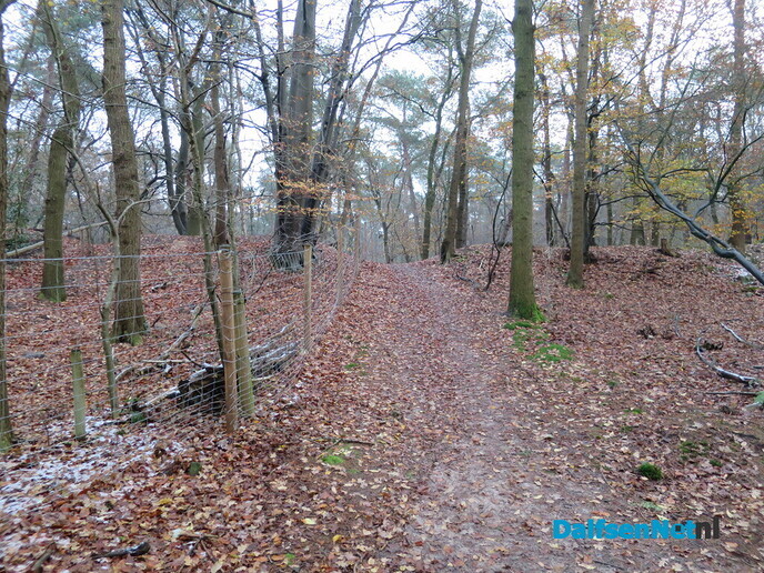 Weer mooi vroeg wandelweer - Foto: Wim